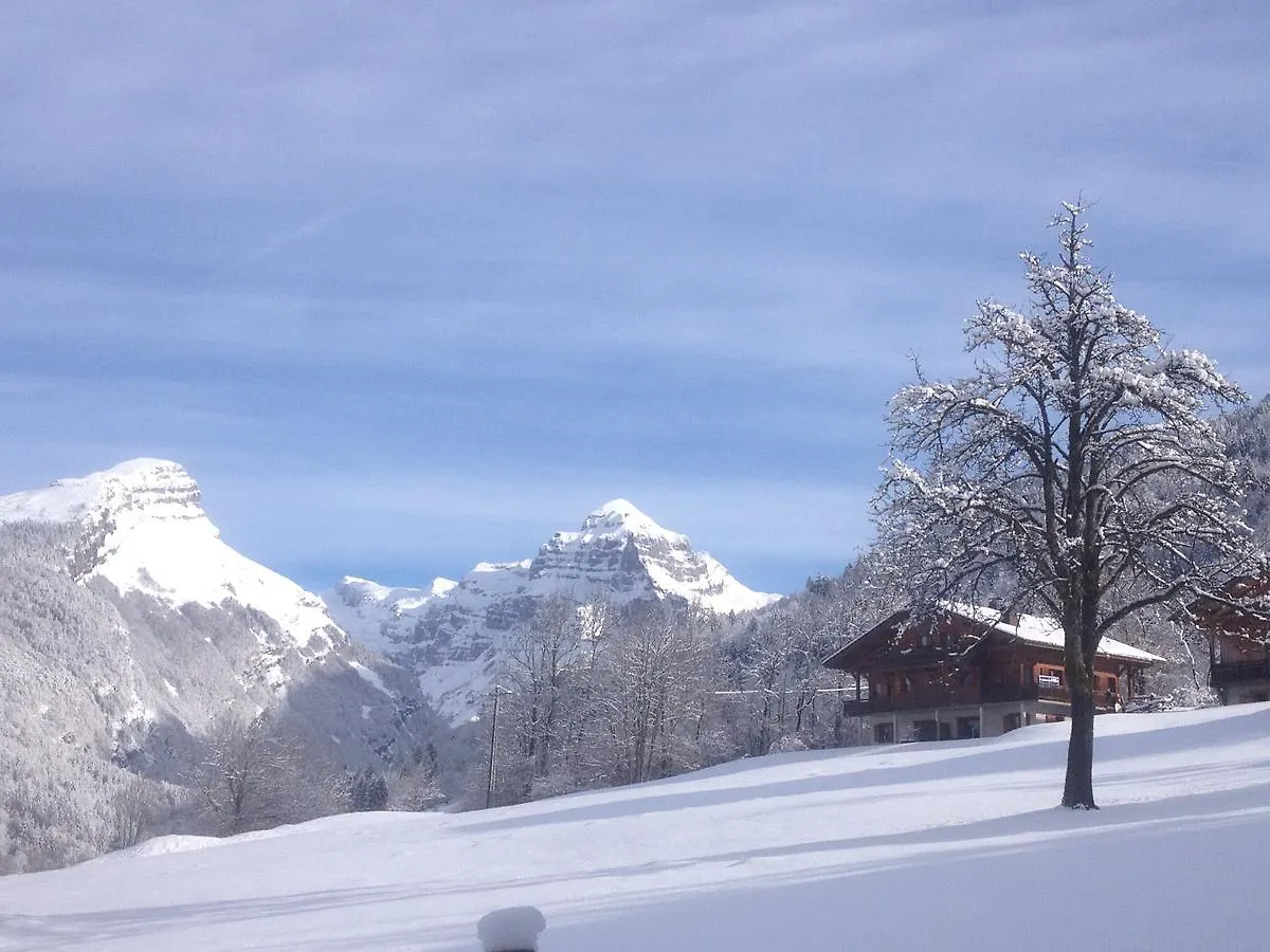 Apartment Chalet Des Cascades